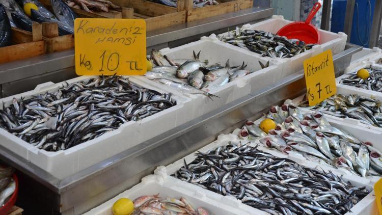 Karadeniz hamsisi tezgahlarda