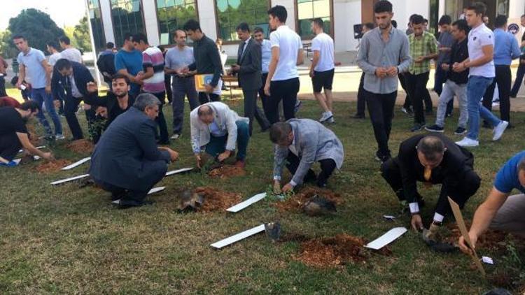 Yurt bahçesine 200 gül fidanı