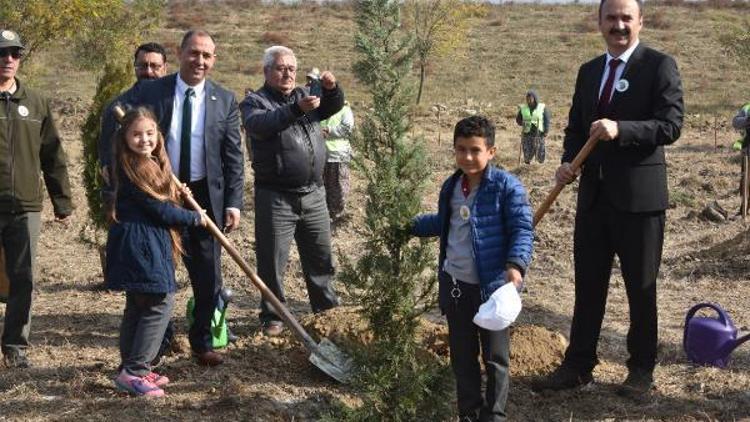 Görevliler, toz kalkmaması için araziye halı serdi, vali kaldırttı