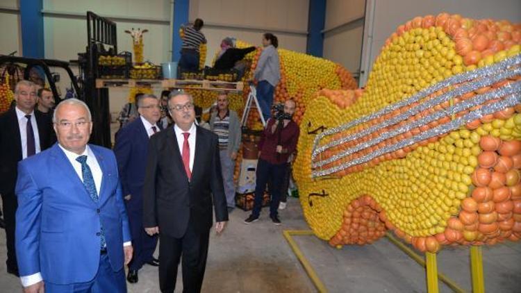 Mersin, Narenciye Festivali’ne iddialı hazırlanıyor