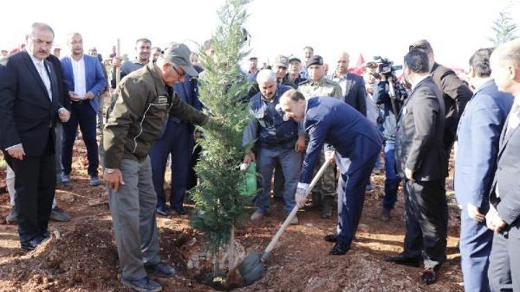 Cumhurbaşkanı Erdoğan, telekonferans katıldığı etkinlikte öğrenciler fidan dikti