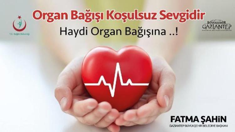 Tolay: 18 yaş üstündeki herkes organ bağışı belgesi alabilir