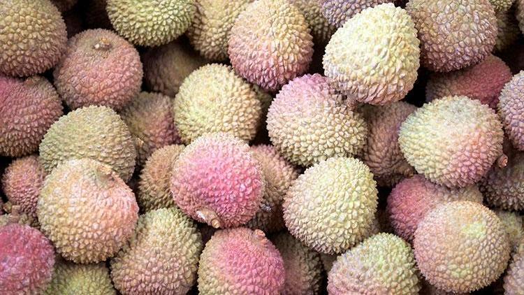 Dünyanın en kötü kokan meyvesi durian uçak boşalttırdı