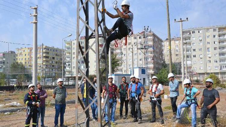 Dicle Elektrik sahada çalışan personellerine yüksekte çalışma eğitimi verdi