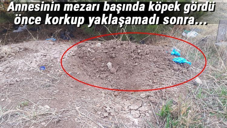 Ankara’da 5 aylık bir bebek mezara gömülmüş şekilde bulundu
