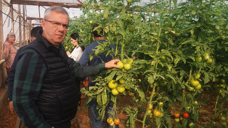 Hal sektöründe gelecek kaygısı