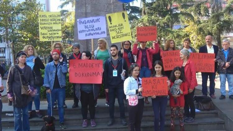 Hayvanseverler gökyüzüne Katliama hayır yazılı balon bıraktı