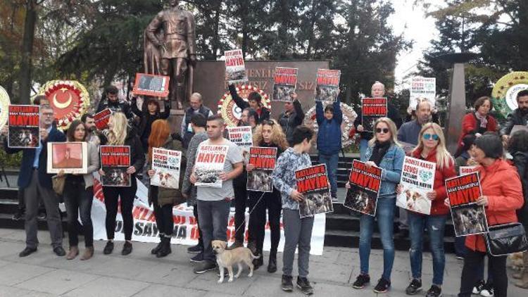 Hayvanlarsevelerden altıncı madde protestosu