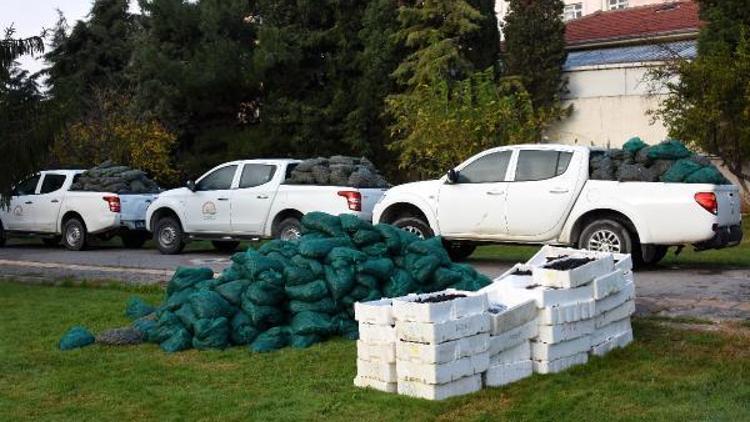 Çanakkalede kaçak avlanan tonlarca deniz ürünü ele geçirildi