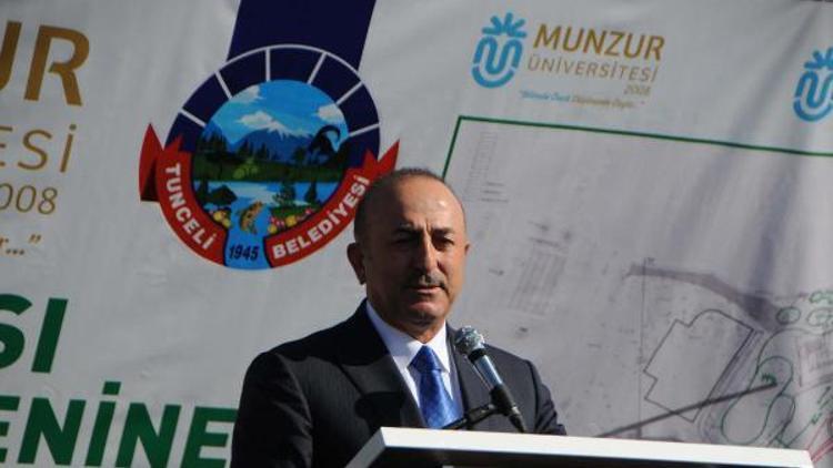 Bakan Çavuşoğlu: Sadece dağda teröristle mücadele yetmez
