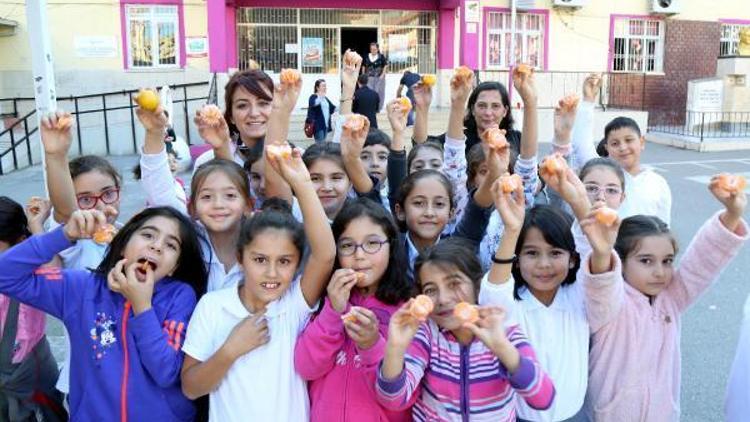 Mandalina ile festival çağrısı