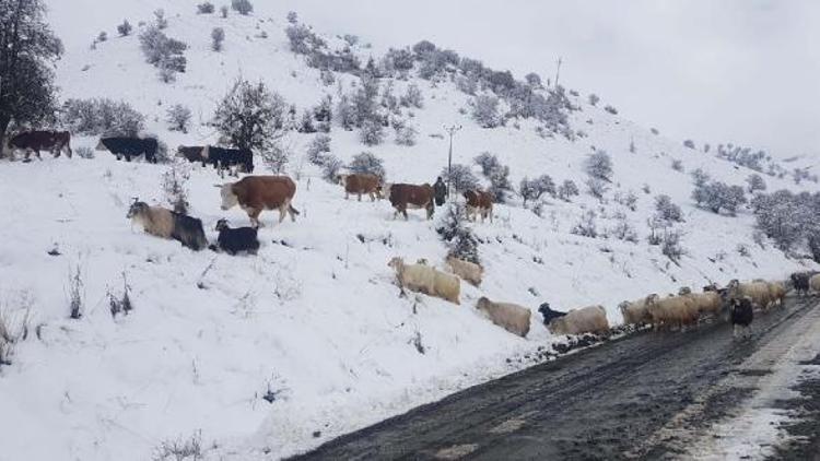 Tuncelinin 49 köy yolu, kar nedeniyle ulaşıma kapandı