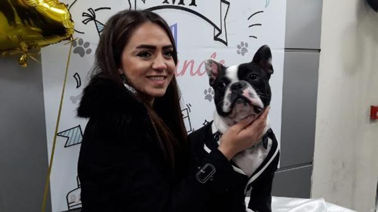 Köpeği için doğum günü partisi düzenledi