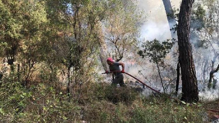 Orman yangınını gönüllü itfaiyeciler söndürdü