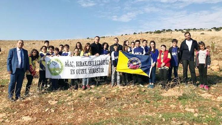 GKV’liler, çam fidanlarını toprakla buluşturdu