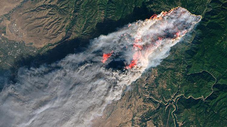 Kaliforniyadaki yangınlarda ölü sayısı 76ya yükseldi