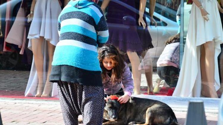 Buse, evine balkondan girmek isterken 7nci kattan düşüp öldü (2)- Yeniden