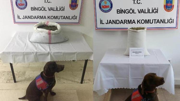 Bingöl’de 17 kilo esrara 2 tutuklama