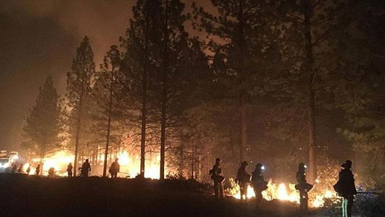 Kaliforniyadaki yangında hayatını kaybedenlerin sayısı 79a çıktı