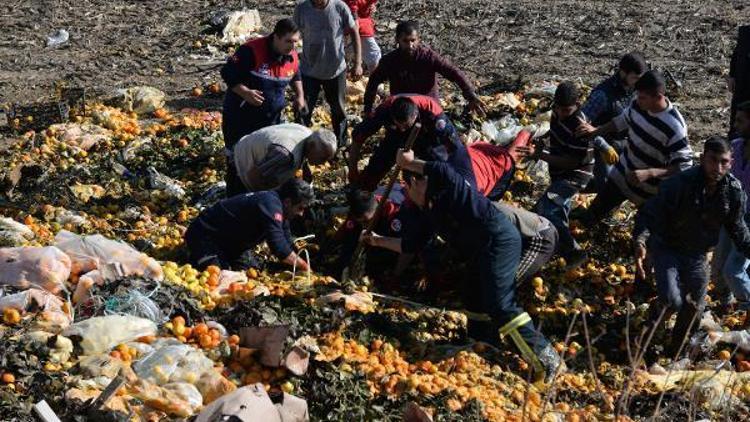 Narenciye posası altında kalan Halil, yaşamını yitirdi