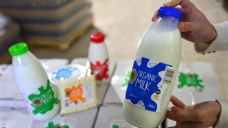 Dubainin günlük sütü Gökçeadadan