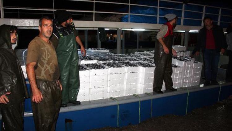 Zonguldak açıklarında 500 ton hamsi avlandı