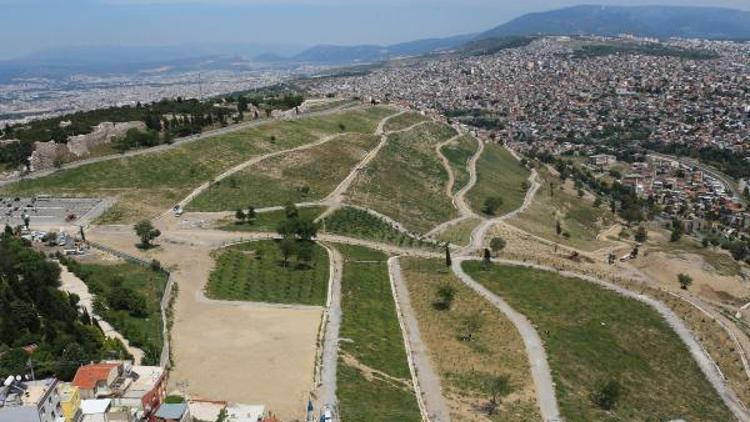 Kadifekale’de yeşil seferberlik