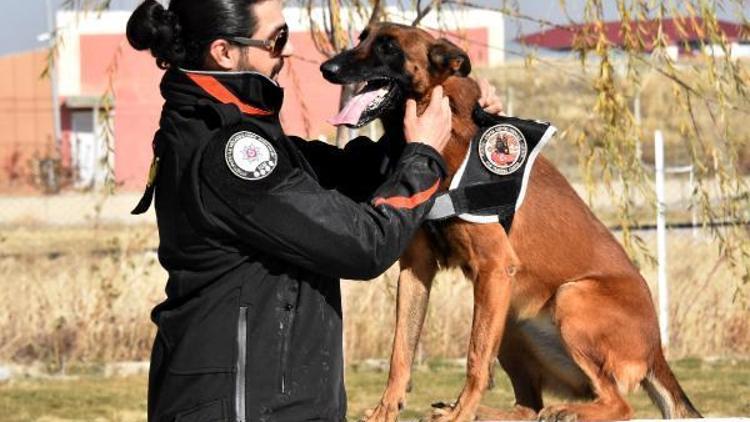 Van emniyetinin hassas burunlu köpekleri Türkiye rekoru kırdı