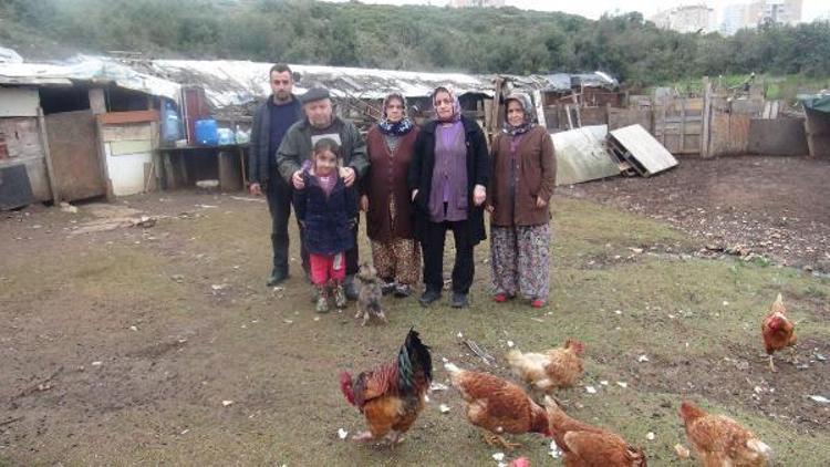 Hırsızlar bir gecede 110 keçisini çaldı