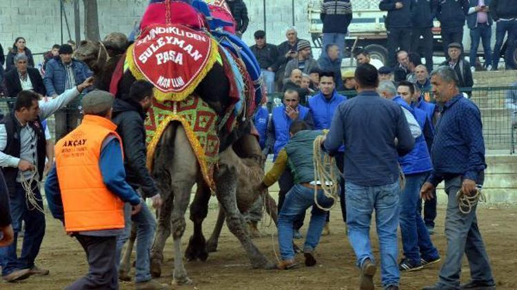 Deve güreşlerinin geliriyle öğrencilerin ihtiyaçları karşılanacak