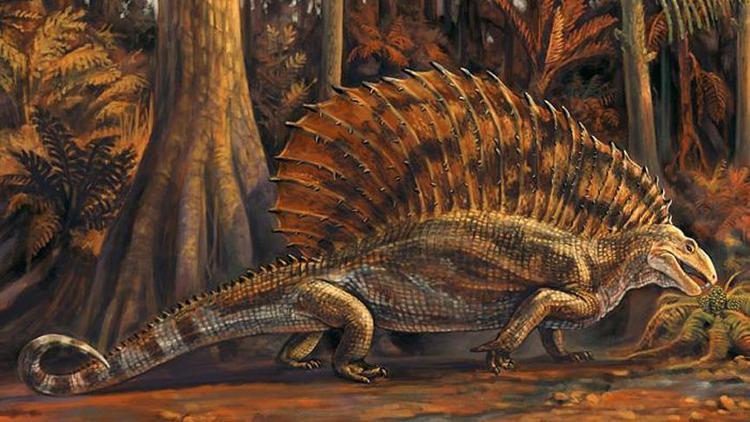 ABDde 300 milyon yıllık otobur sürüngen fosili bulundu