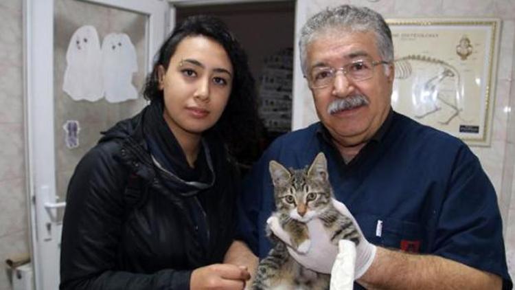 Üniversite öğrencisi yaralı kediyi veterinere götürüp sahiplendi