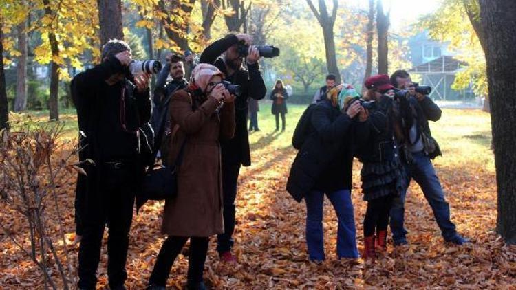 Fotoğrafçılar Turhalda sonbaharı görüntüledi