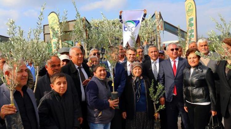 Kadirli de 174 çiftçiye, 25 bin zeytin fidanı