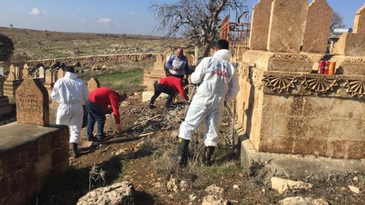 Alman hasta bakıcının öldürdüğü öne sürülen kadının Mardindeki mezarı açıldı