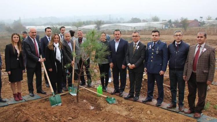 Mendereste öğretmenler adına hatıra ormanı