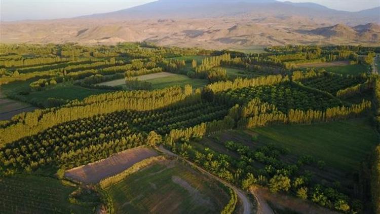 Son dakika... Bakan Kurumdan 2B arazileri için çok önemli