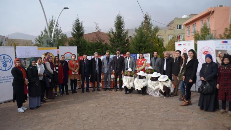 Yerel Pamuk Tohumları Mardin’de Arılar İçin Hayat Buluyor