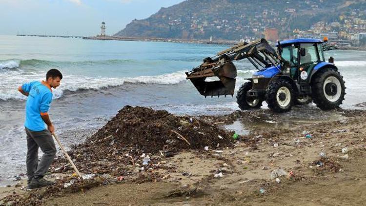 Alanya Belediyesinden sahil temizliği