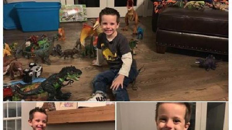 Dinozor koleksiyonunu kaybeden çocuğa oyuncak desteği