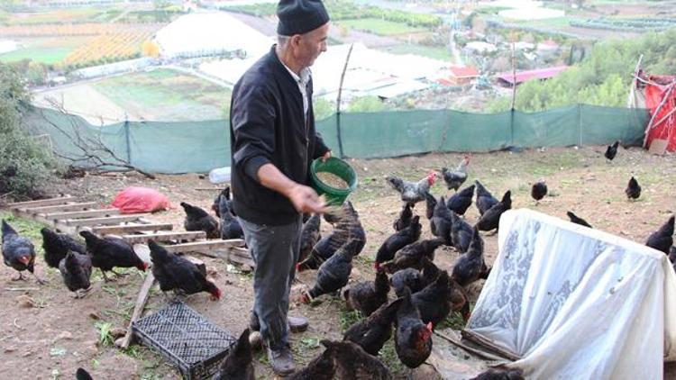 Son maaşı ile çiftlik kurdu Üretime geçti, talebe yetişemiyor