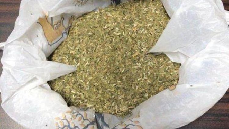 50 gram bonzaiyi narkotik köpeği Eko buldu