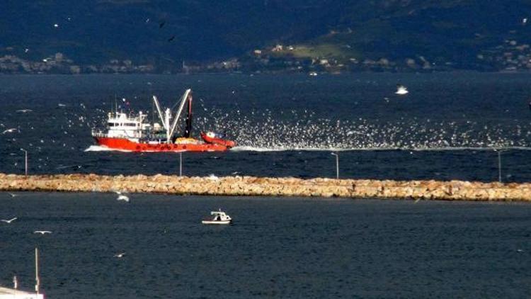 Balık çoğalınca balıkhane müşteri akınına uğradı