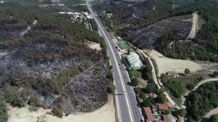 Bursa’da yanan 36 hektar alan ağaçlandırılacak, ilk fidanı Bakan Pakdemirli dikecek