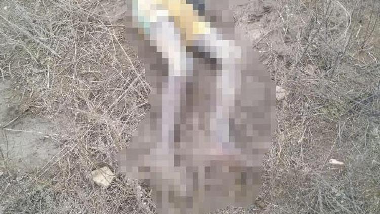 Yunanistan sınırında donarak ölen bir kaçağın daha cesedi bulundu