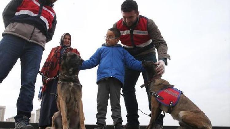 Yurt genelinde, Huzurlu Parklar ve Okul Önleri uygulaması