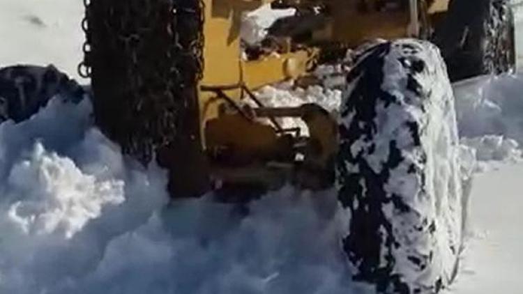 Karda mahsur kalan 100 büyükbaş hayvan kurtarıldı / Ek fotoğraf