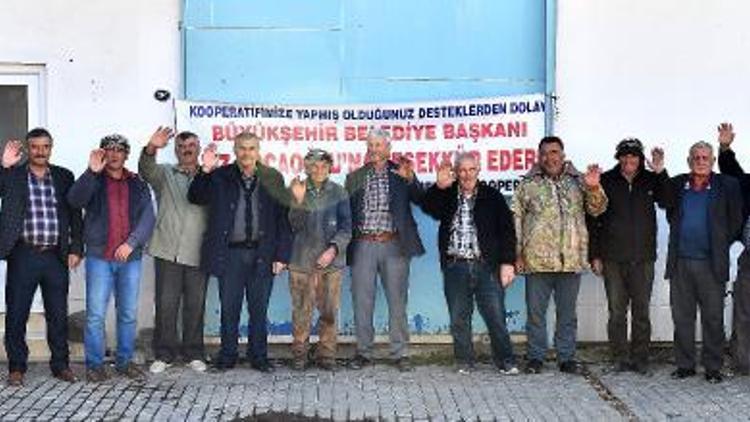 İzmirde süt üretcisinin kazancı desteklerle arttı