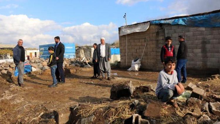 Şanlıurfa’da ahır çöktü; 2 inek telef oldu