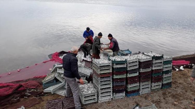 İznik Gölünde aralık ayında gümüş balığı şaşkınlığı